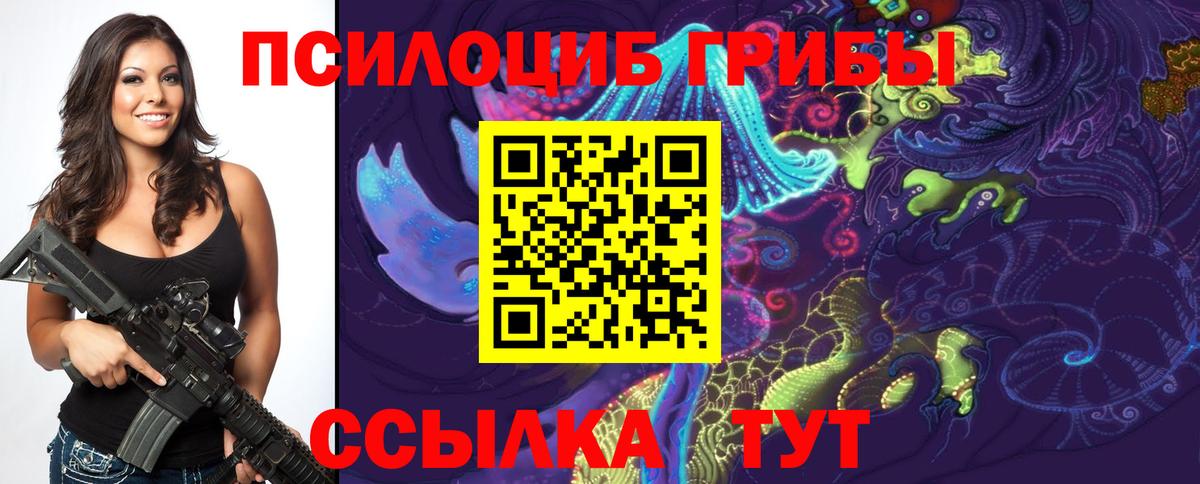 Тамбов  наркошоп  Вход с VPN  Псилоцибиновые грибы Psilocybe 