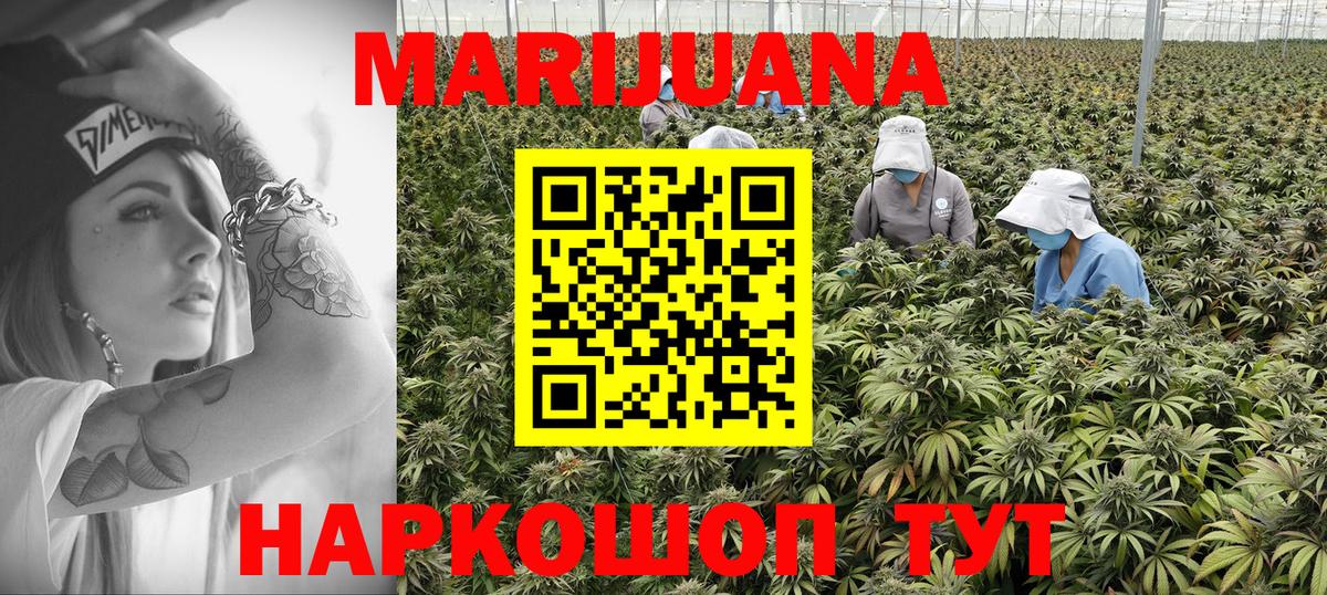 МАРИХУАНА White Widow  Бошки Шишки LSD WEED  Тамбов  Вход с VPN  Канабис сатива  Шишки марихуана планчик 